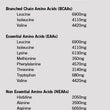 Load image into Gallery viewer, Reactiv Supplements Pure Premium Pea Protein Isolate Amino Acids