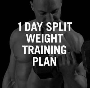 1 Day Split Workout